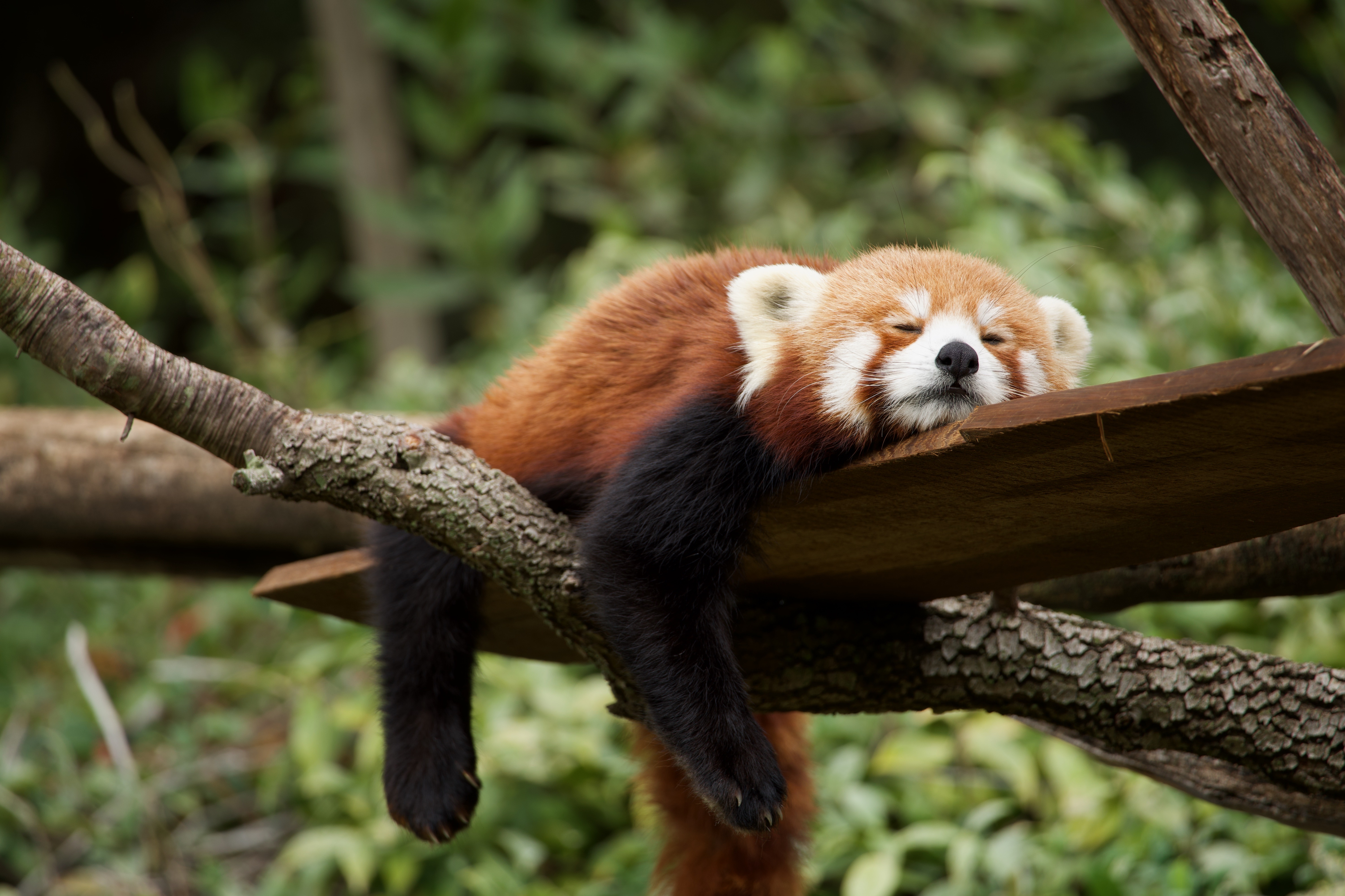 Photo de la galerie 1