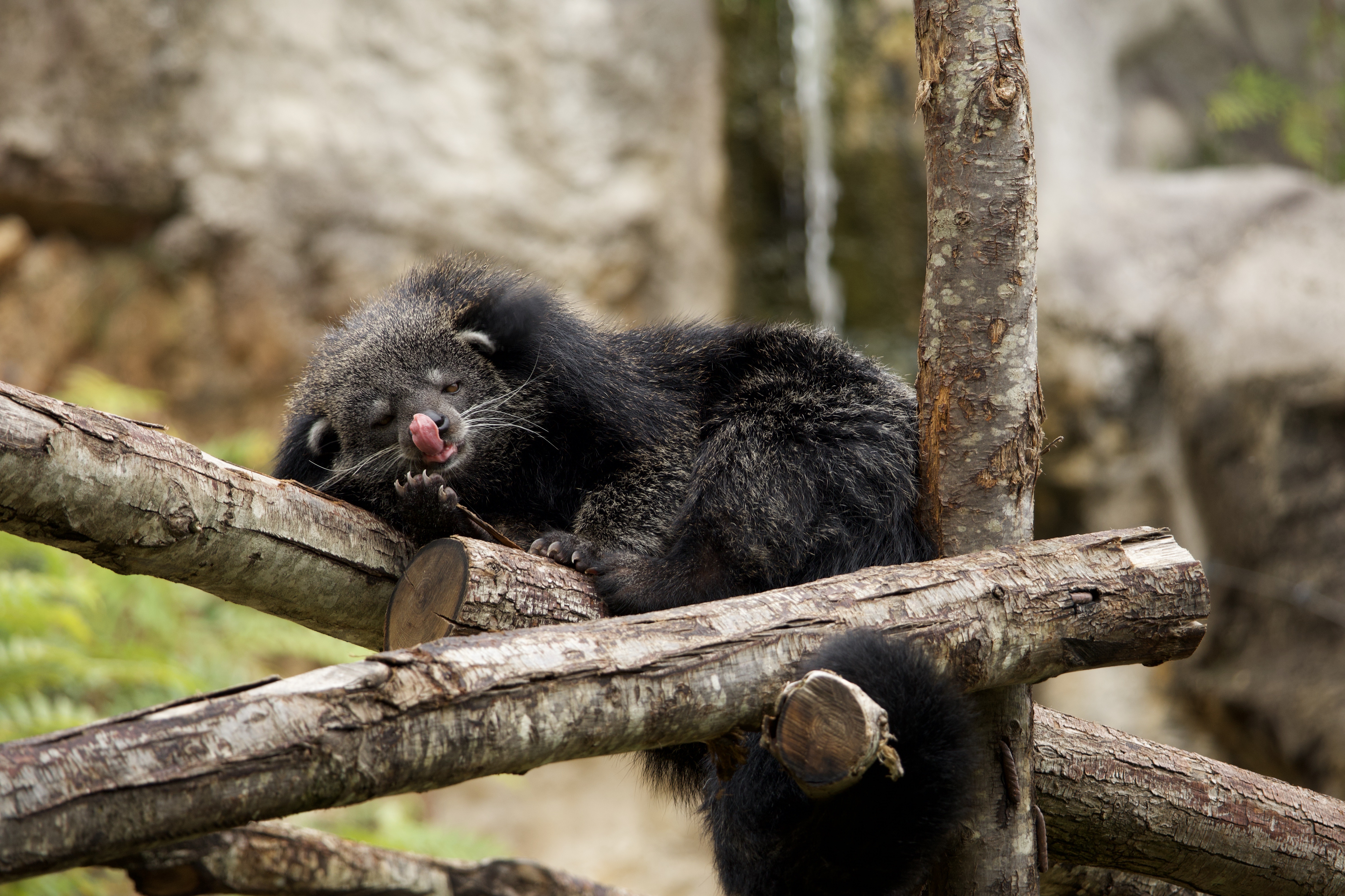 Photo de la galerie 2