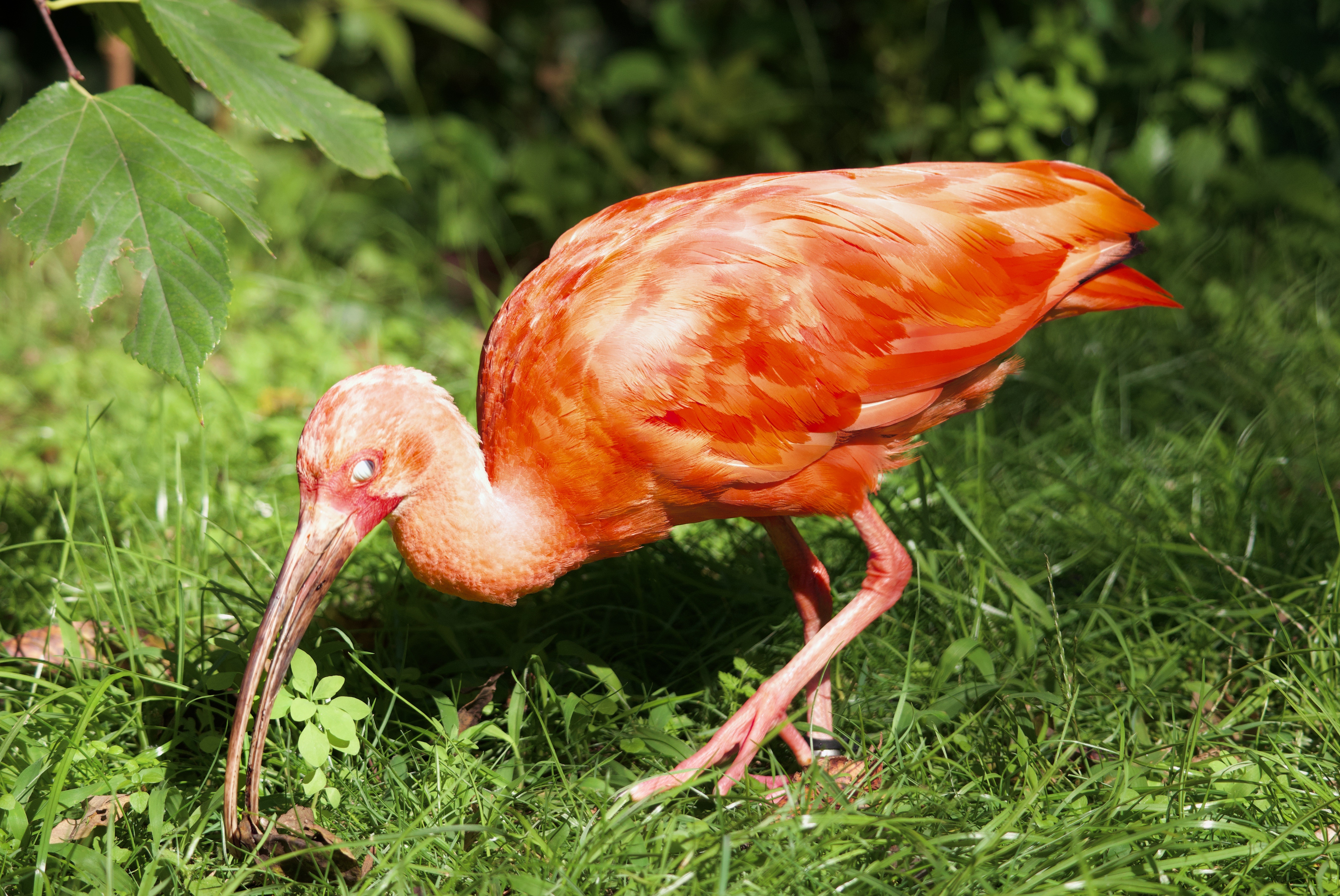 Photo de la galerie 3