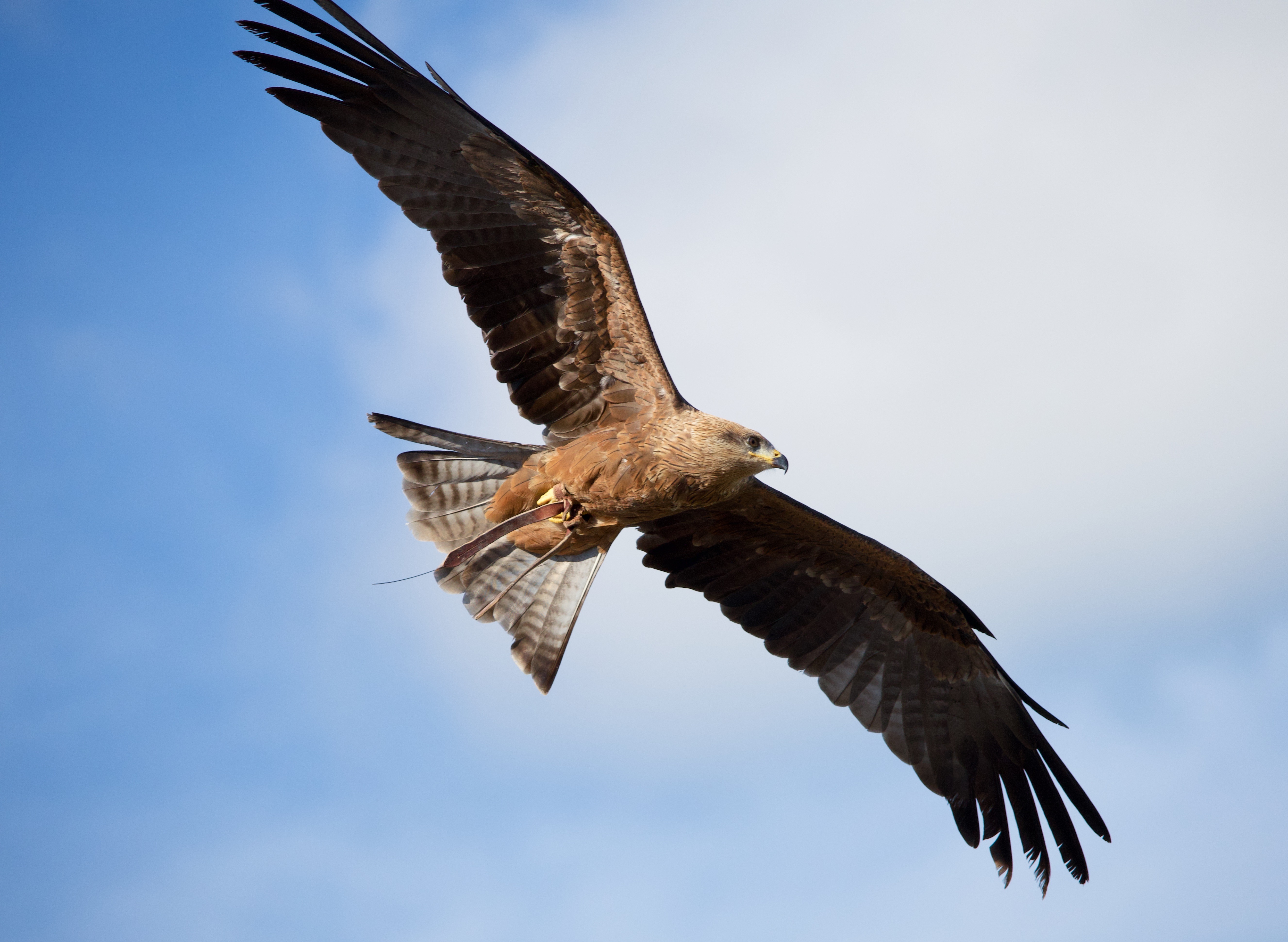 Photo de la galerie 5