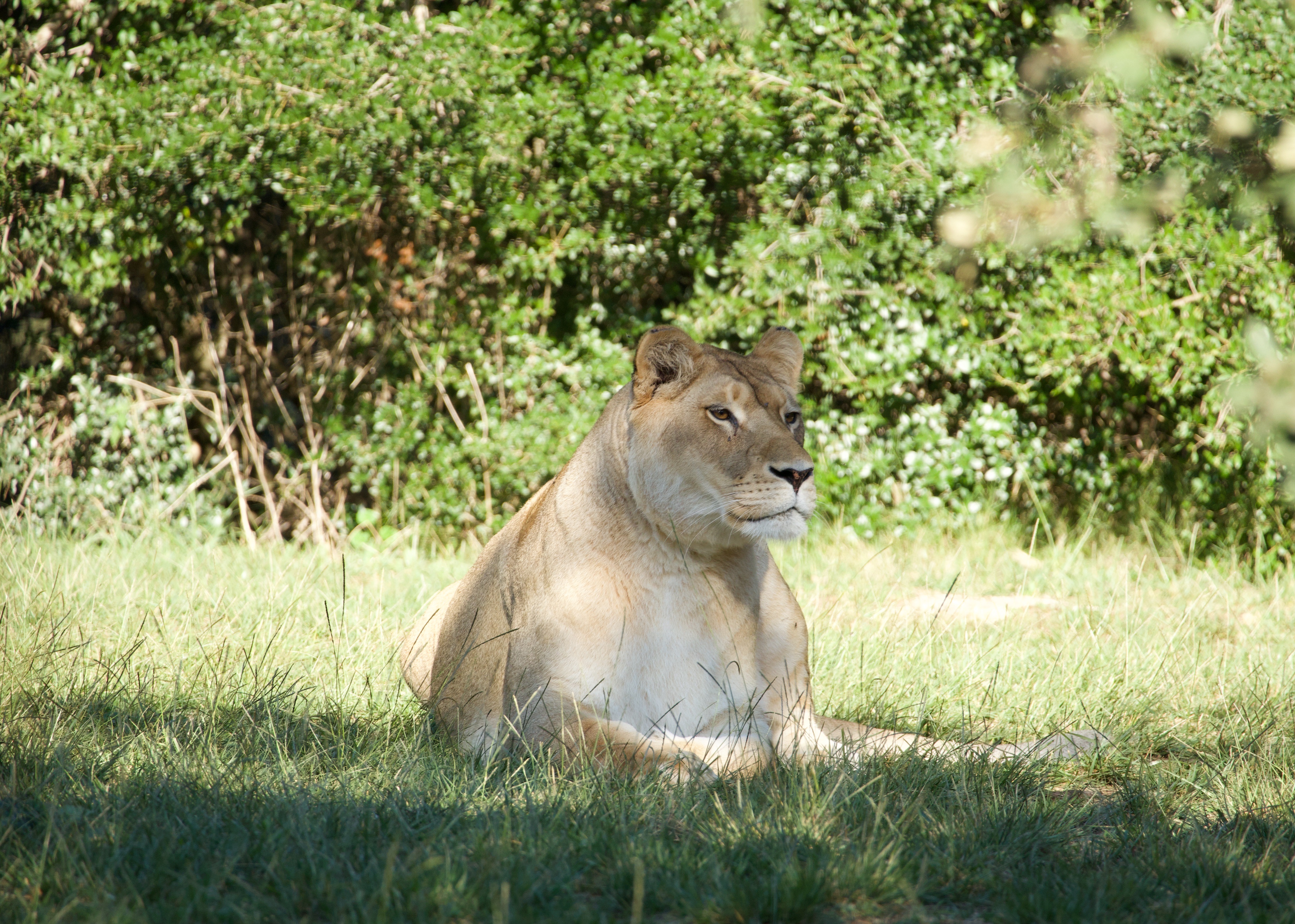 Photo de la galerie 6