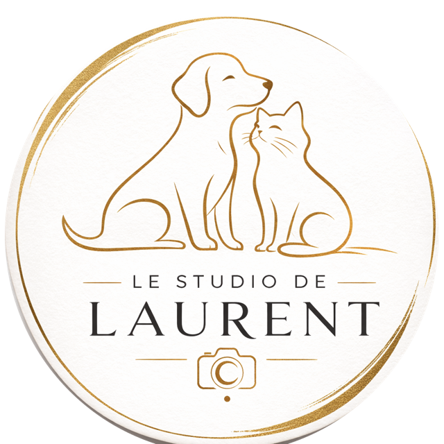 Logo rond Le Studio de Laurent